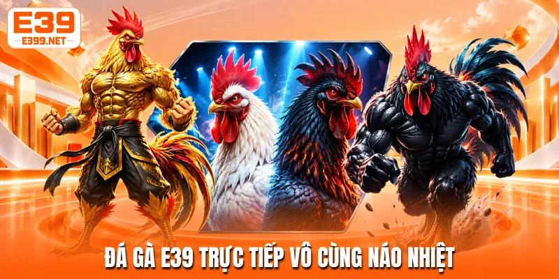 Đá gà E39 trực tiếp vô cùng náo nhiệt